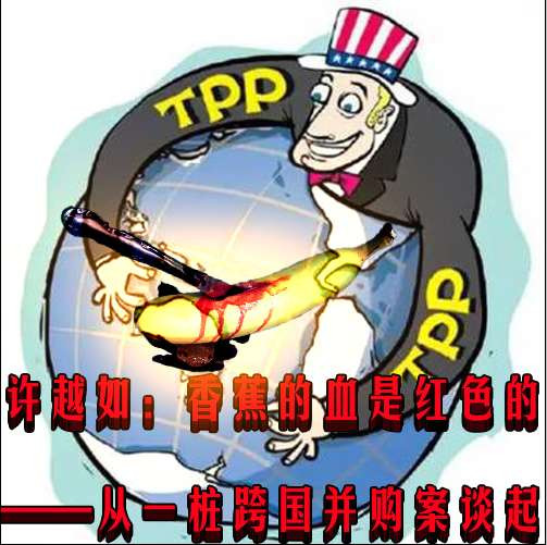 许越如:香蕉的血是红色的