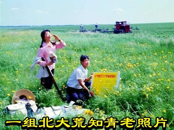 一组北大荒知青老照片