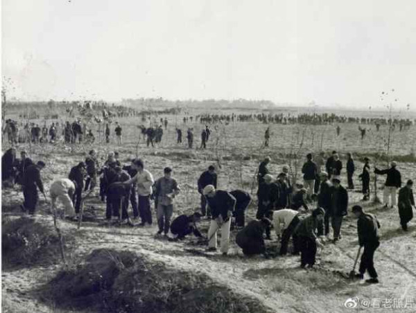 1950年代,农业合作化