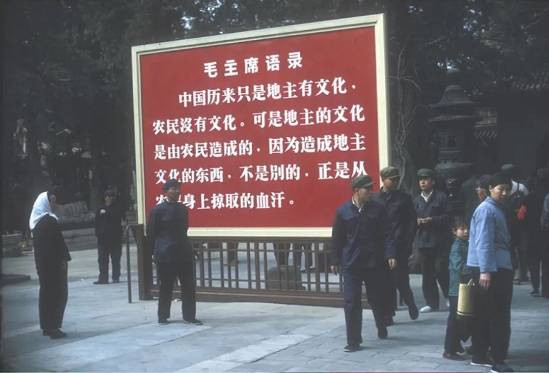 被忽视的云谷学校：马云已深度涉足教育领域