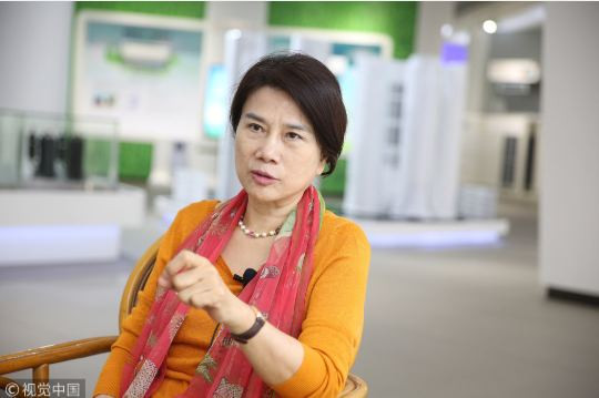 张宏良：国企私有化——野蛮人终于敲开了格力电器的大门