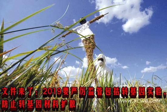 文件来了：2019要严厉监管包括转基因实验，防止转基因材料扩散