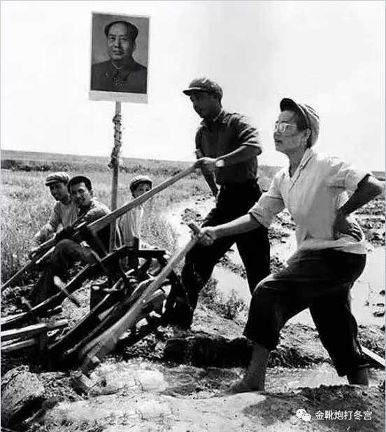 「专家」成为烘臭之衔,本质原因是脱离群众