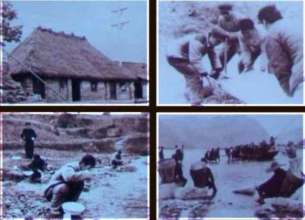 新中国工业革命与世界工业化回眸（十）