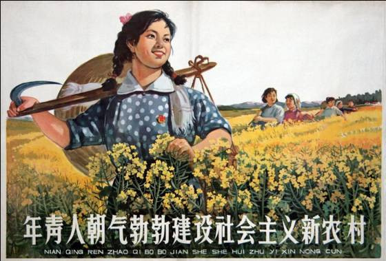 农民对毛主席的看法如同一声惊雷