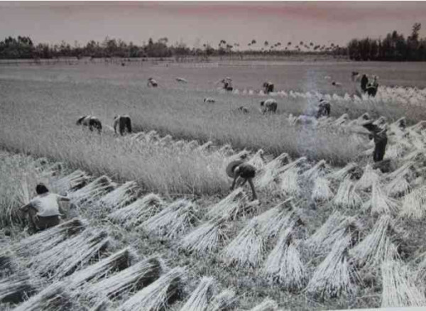 老照片：新中国70年代初期欣欣向荣的农村人民公社