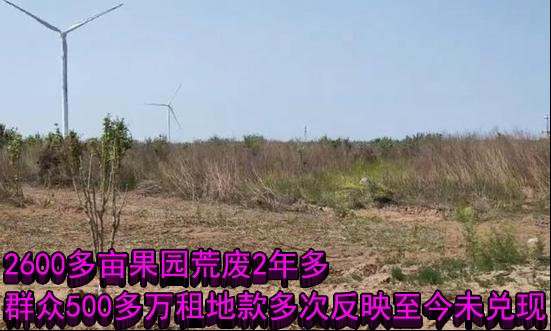 2600多亩果园荒废2年多 群众500多万租地款多次反映至今未兑现