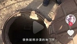 申鹏：治沙的愚公，还是逐利的商人？