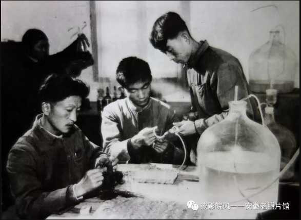 独家影像:安徽70年代的知青岁月