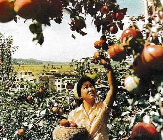 70年代朝鲜老照片