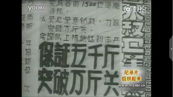 纪录片：组织起来