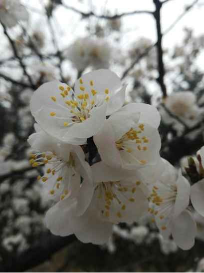 大寨----向全世界发出邀请