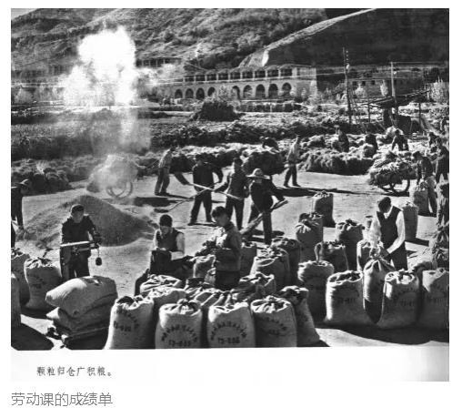 老田：牛棚和五七干校，到底长啥样？