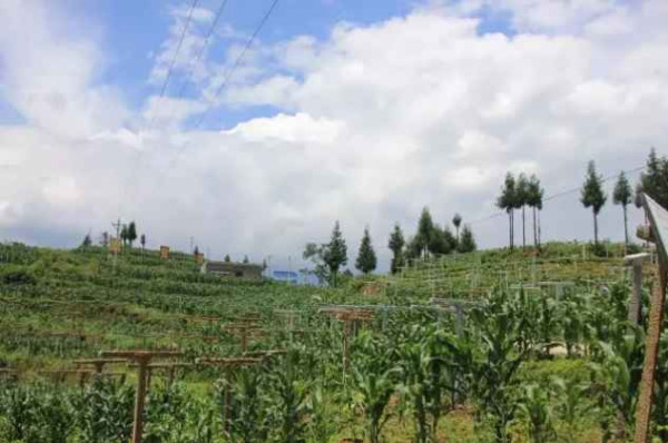 【全国各地学塘约】来自贵州毕节脱贫攻坚前线的消息