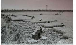 新中国70年代初期欣欣向荣的农村人民公社