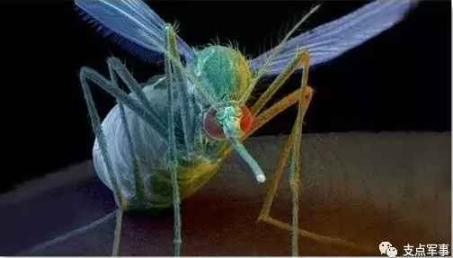 比731更邪恶，美国正秘密研制灭绝中俄的生物武器