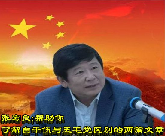 张宏良：帮助你了解自干伍与五毛党区别的两篇文章