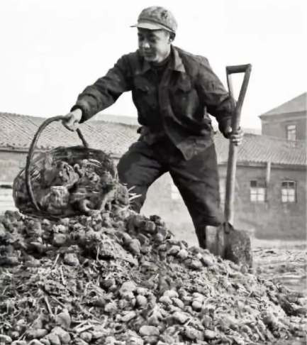 艰难奠基，新中国前三十年史诗般波澜壮阔的工业史（中）