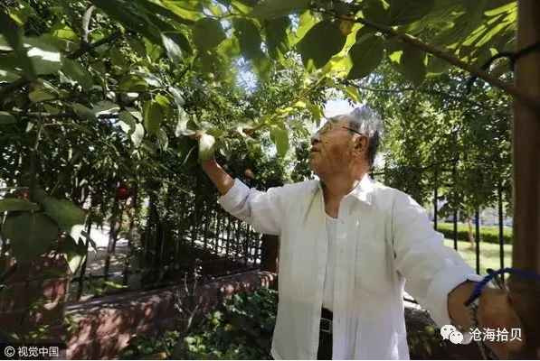 以毛泽东思想为指针坚定不移走社会主义道路的楷模