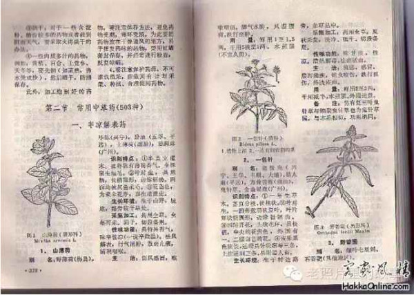 赤脚医生：悬壶济世的温暖记忆【1】