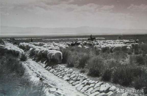 新中国70年代初期欣欣向荣的农村人民公社