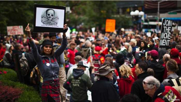 再不制止，我国就要被孟山都给坑死了！（综合）