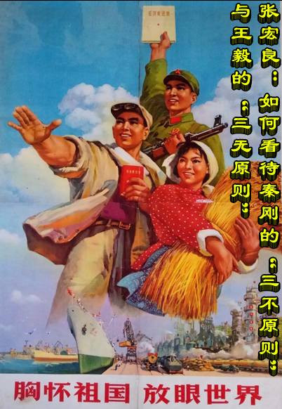张宏良：如何看待秦刚的“三不原则”与王毅的“三无原则”