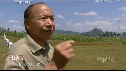 上甘岭381个弹孔的战旗,见证神秘的东方精神