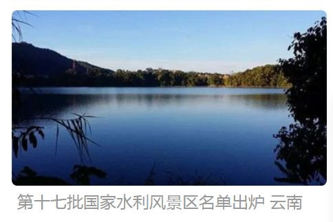 张宏良：转基因树和私有化——西南旱灾的罪魁祸首