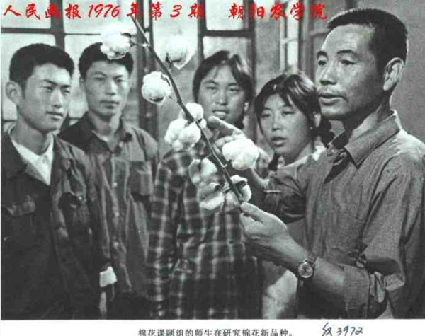 中华民族的子孙应当知道的关于毛主席的十四个谬论