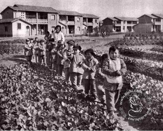 毛泽东社会主义光明道路——农业合作化运动