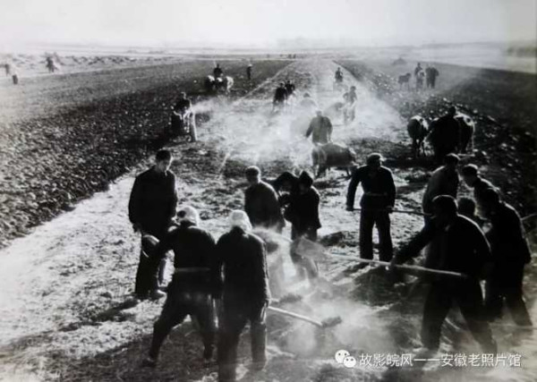 独家影像:安徽70年代的知青岁月