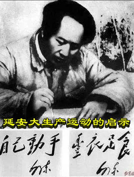 赵耀宏：延安大生产运动的启示