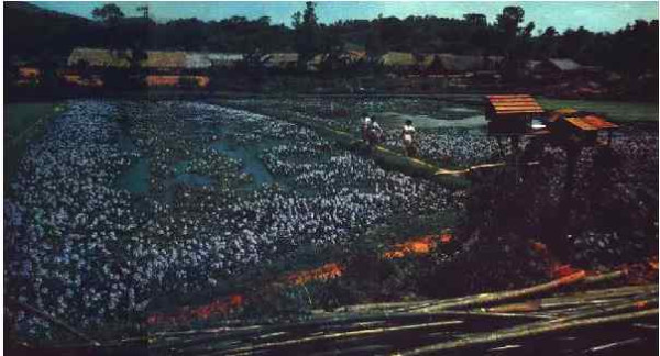 激情岁月！共和国留下父辈们创业的足印（4）