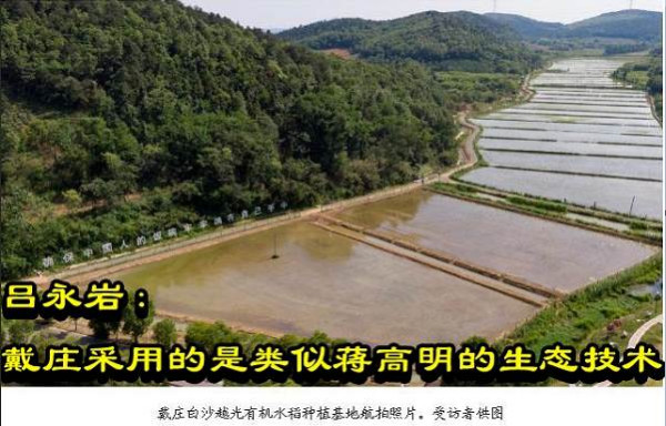 吕永岩：戴庄采用的是类似蒋高明的生态技术