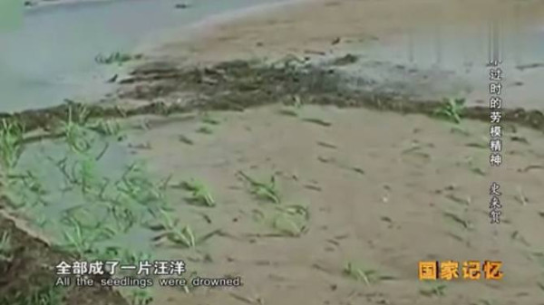 九次见到毛主席的公社书记——史来贺