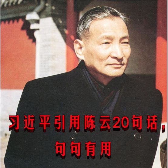 习近平引用陈云20句话，句句有用