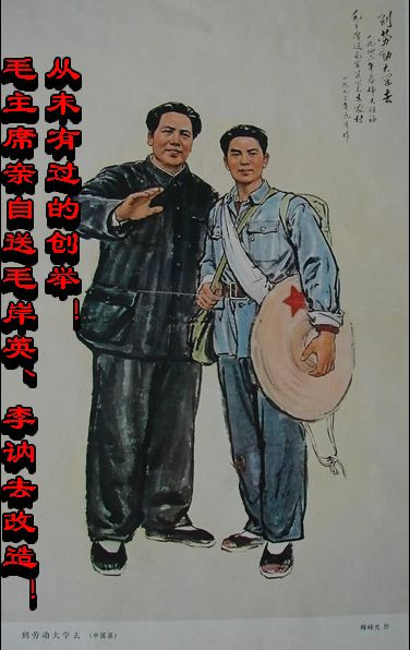 从未有过的创举！毛主席亲自送毛岸英、李讷去改造！