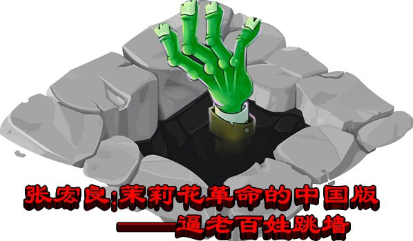 张宏良：茉莉花革命的中国版——逼老百姓跳墙（2011）