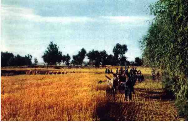 激情岁月！共和国留下父辈们创业的足印（4）