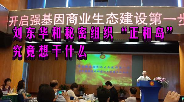 刘东华和秘密组织“正和岛”究竟想干什么（综合）