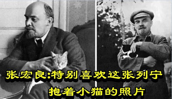 张宏良：特别喜欢这张列宁抱着小猫的照片