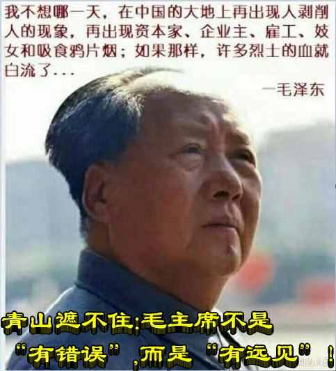 青山遮不住：毛主席不是“有错误”，而是“有远见”！