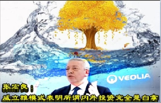 张宏良：威立雅模式表明所谓内外投资完全是白拿
