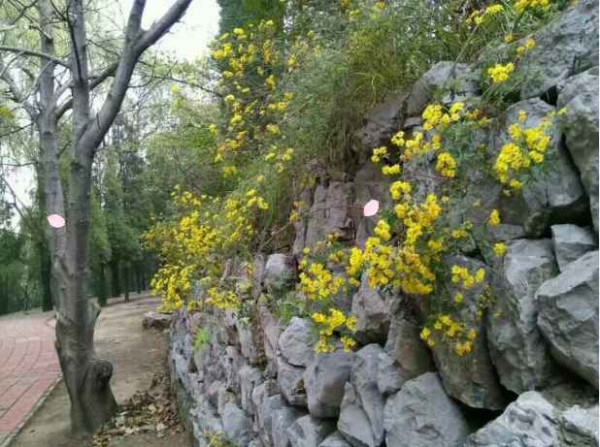 大寨----向全世界发出邀请