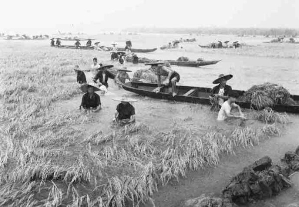 新中国工业革命与世界工业化回眸（四）