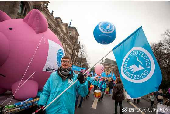 为人类，为孩子，为未来，德国爆发大规模反转基因反孟山都示威游行！