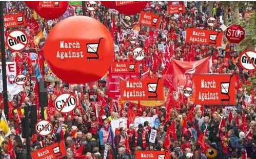 再不制止，我国就要被孟山都给坑死了！（综合）