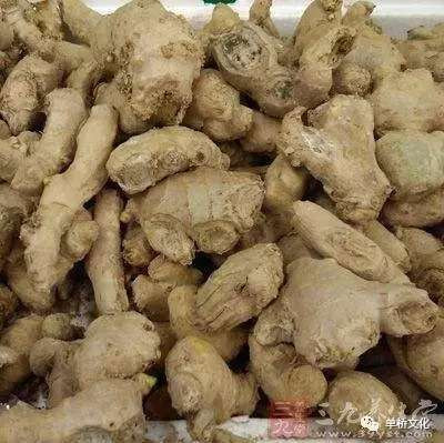 秦东兴：蔬菜都病了，人呢？声援崔永元