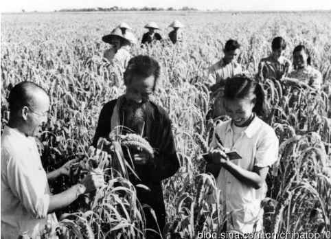 工业革命——世界工业化三百周年回眸（十）